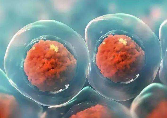 国内哪里有代生,海口未婚生育最新政策发布，附2025龙华区超详细登记流程