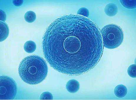 宫腔镜息肉会复发吗？宫腔镜手术息肉会复发吗？