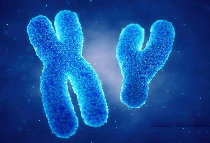 全国供卵试管医院排行,吉林做试管婴儿多少钱「吉林试管婴儿」