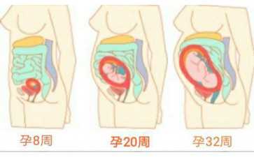 国内正规私人代孕咨询公司,试管婴儿费用多少钱(试管价格表一览)