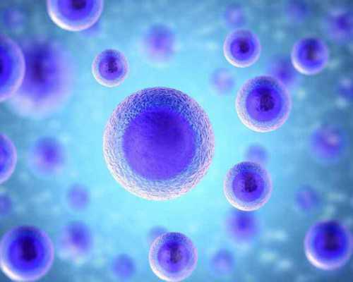 中国供卵公司有哪些,免疫性不孕可以做三代试管吗！求收费价目表！