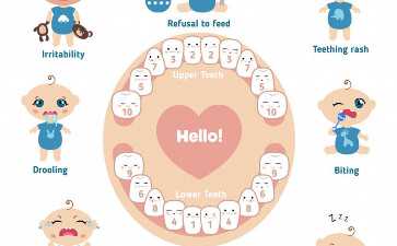 3天胚胎12细胞2级怎么样？移植好不好？--咨询试管代生