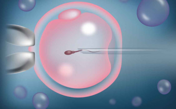 国内靠谱的供卵中心,益阳试管婴儿三代费用公开，做试管的有补贴啦