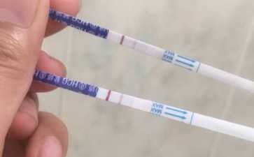 卵泡囊肿会自然消掉吗？ 卵泡变囊肿怀孕几率？--有偿捐卵