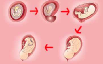 国内供卵试管不用排队,河南比较有名的生殖医院流程，这几家医院比较靠谱