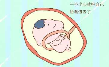 国内咨询试管供卵公司,沈阳和哈尔滨哪个做试管婴儿好做试管婴儿要了解什么