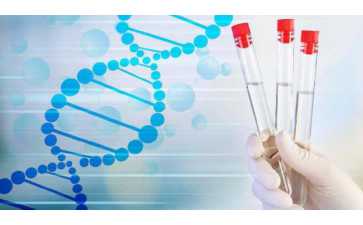 国内供卵机构有几家,济宁附属医院人工授精成功率怎么样？哪位专家水平高？