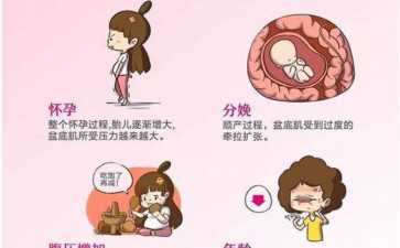 到底什么才是9细胞2级胚胎？9细胞2级胚胎到底怎么样？--助孕零风险