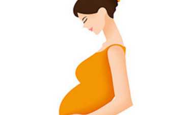 国内可以做供卵的私立医院,*两个女儿怎么了？做试管就一定能**男女吗？