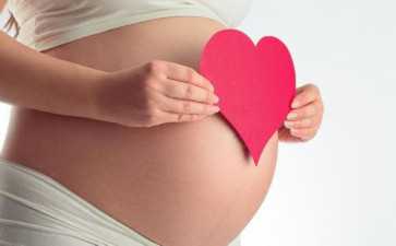 试管婴儿卵子质量的科学评估方法？