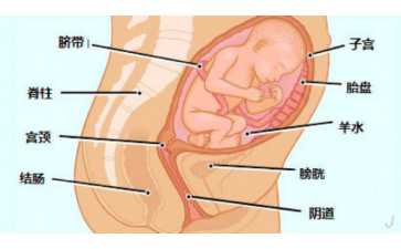 国内代孕哪里靠谱,珠海试管婴儿医院名单 为什么要参考这些名单