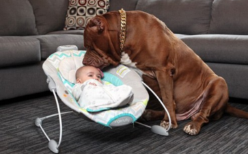 国内供卵最大的公司,做试管婴儿取卵多少为好？试管婴儿取卵后内膜会变薄是真的吗？ ...