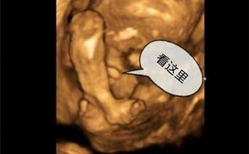 国内选择供卵试管的医院,在厦门做三代试管助孕需要多少钱？价格清单赶快拿走