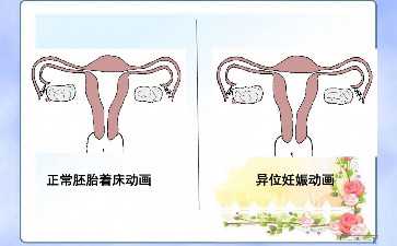 国内供卵生殖,沈阳三代试管费用(看完助你提前规划)