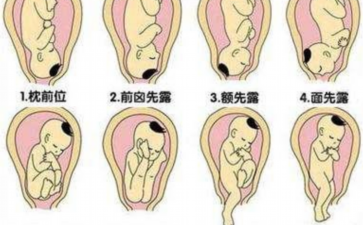 国内供卵中心有几个,长沙三代试管总费用整理(预算助力*率)