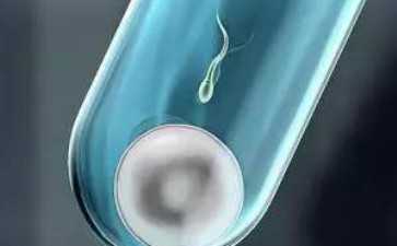 卵巢颗粒细胞瘤如何诊断--助孕费用