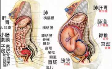 国内做供卵的机构有哪些,第二次试管婴儿多少钱胚胎移植费用明细