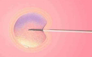 中国正规的供卵医院有几家,名单公布：益阳卵巢早衰能做试管婴儿吗